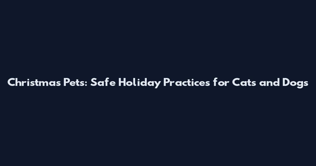 Christmas Pets: Safe Holiday Practices for Cats and Dogs
