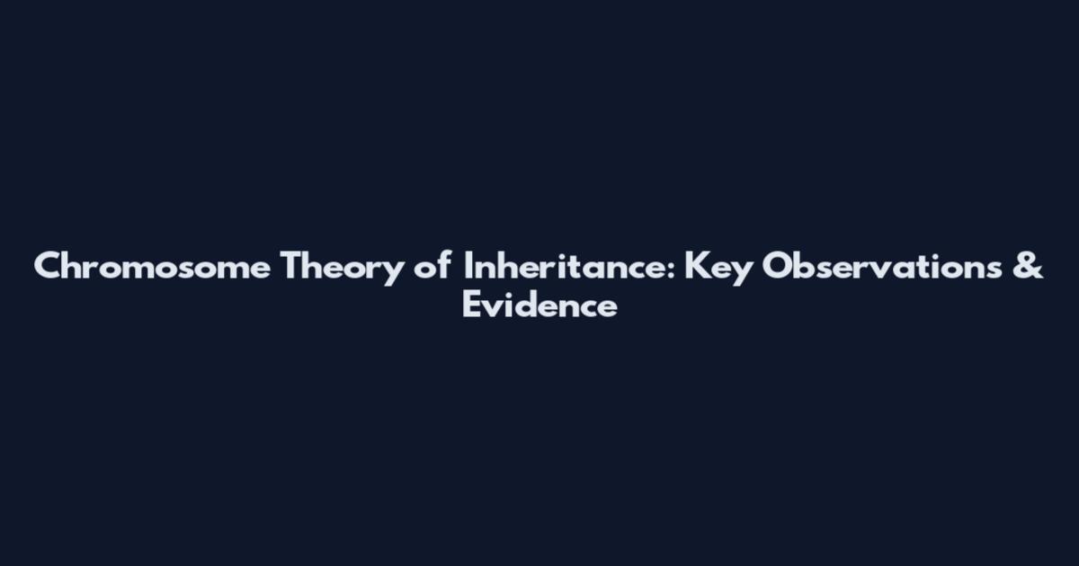 Chromosome Theory of Inheritance: Key Observations & Evidence