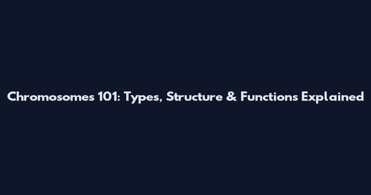 Chromosomes 101: Types, Structure & Functions Explained