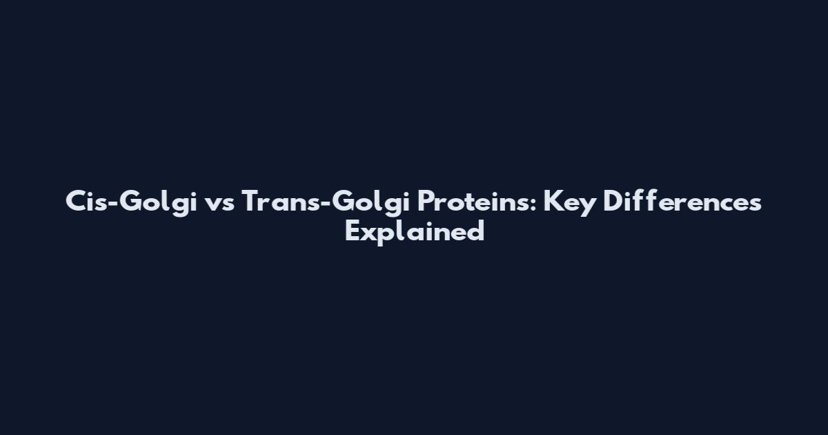 Cis-Golgi vs Trans-Golgi Proteins: Key Differences Explained