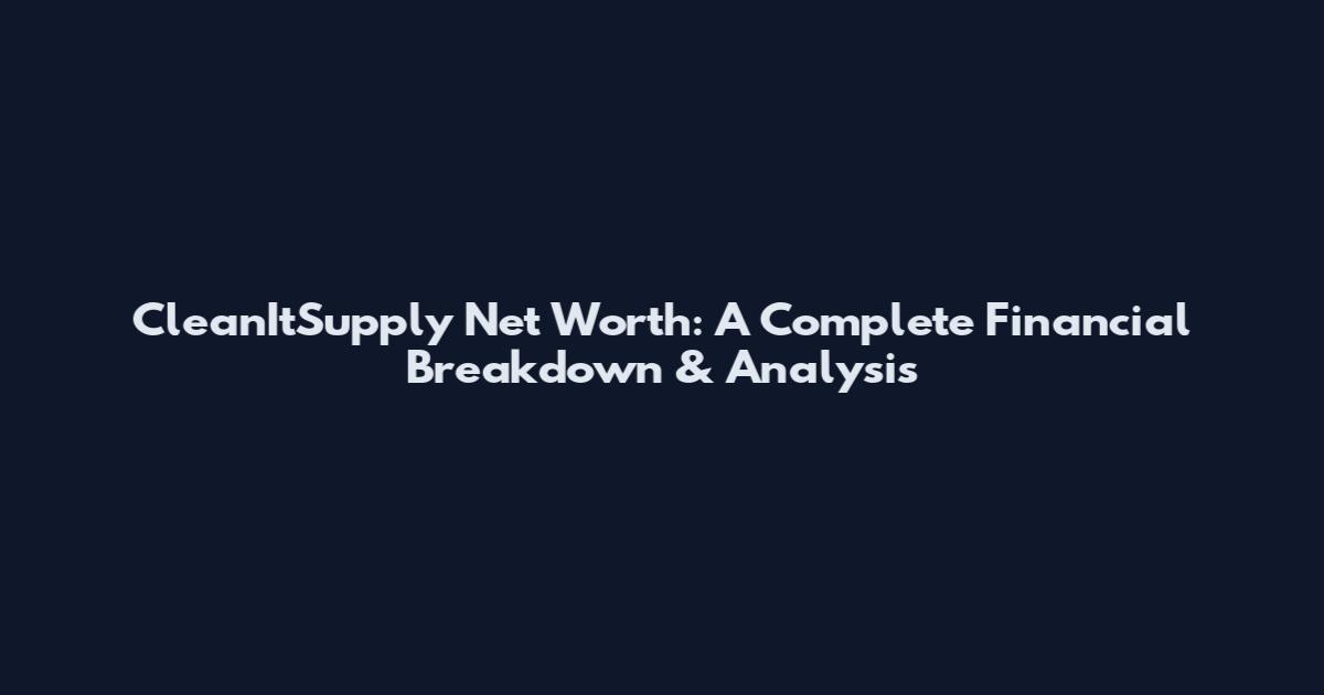 CleanItSupply Net Worth: A Complete Financial Breakdown & Analysis