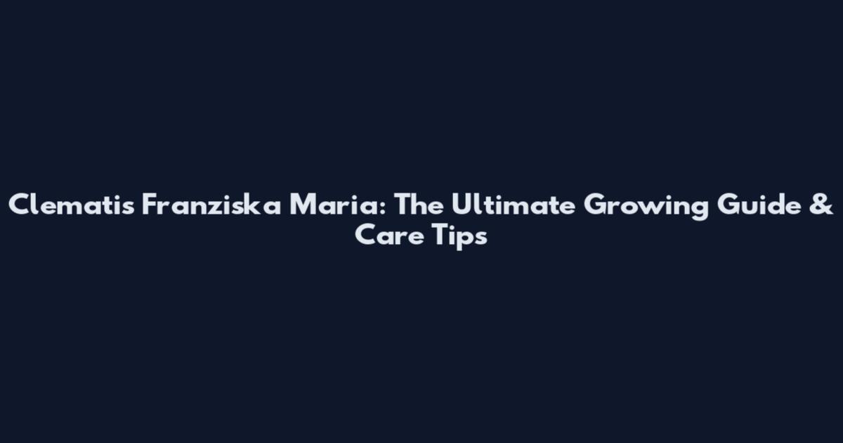 Clematis Franziska Maria: The Ultimate Growing Guide & Care Tips