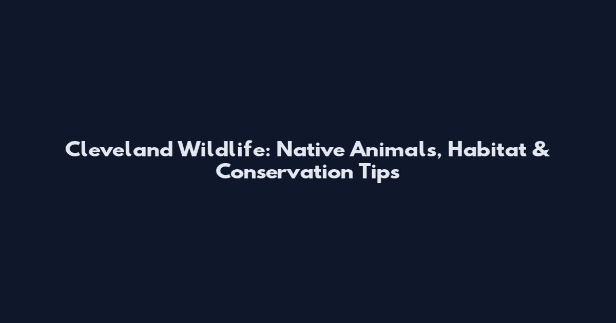 Cleveland Wildlife: Native Animals, Habitat & Conservation Tips