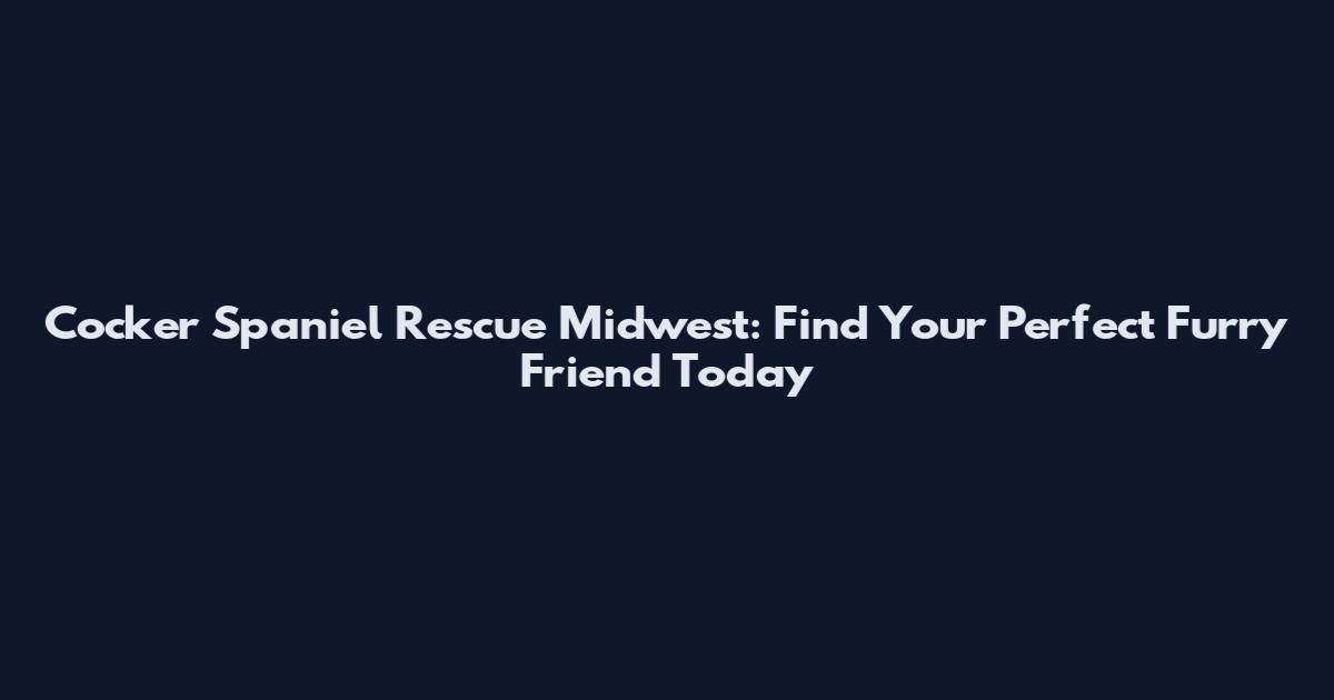 Cocker Spaniel Rescue Midwest: Find Your Perfect Furry Friend Today