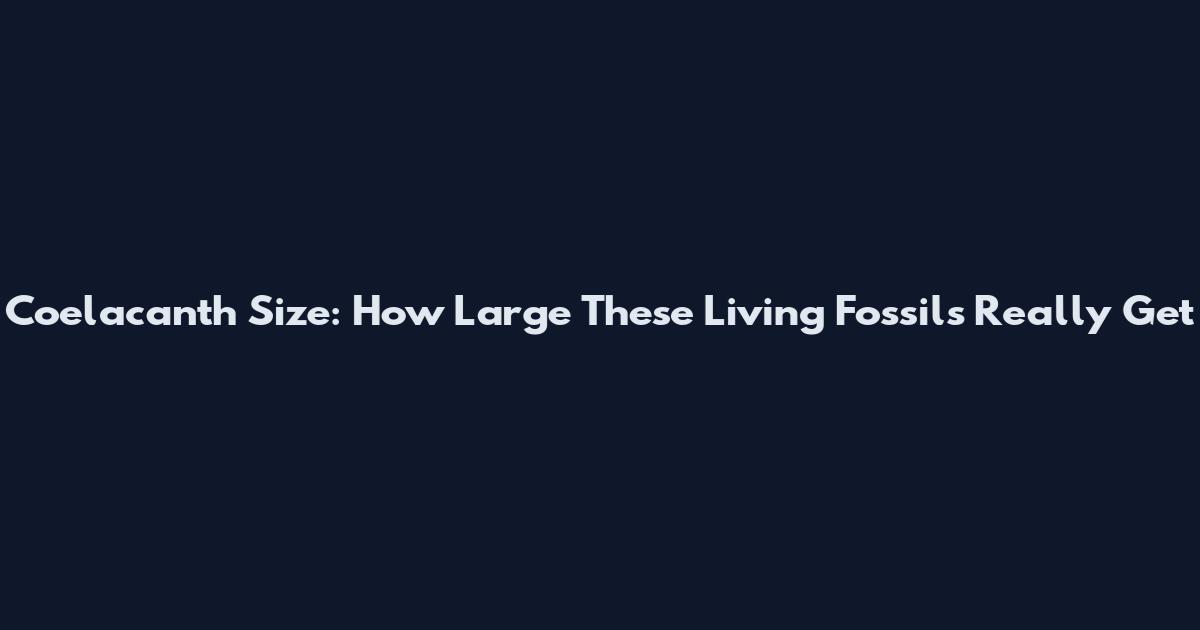 Coelacanth Size: How Large These Living Fossils Really Get
