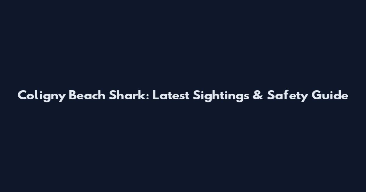 Coligny Beach Shark: Latest Sightings & Safety Guide