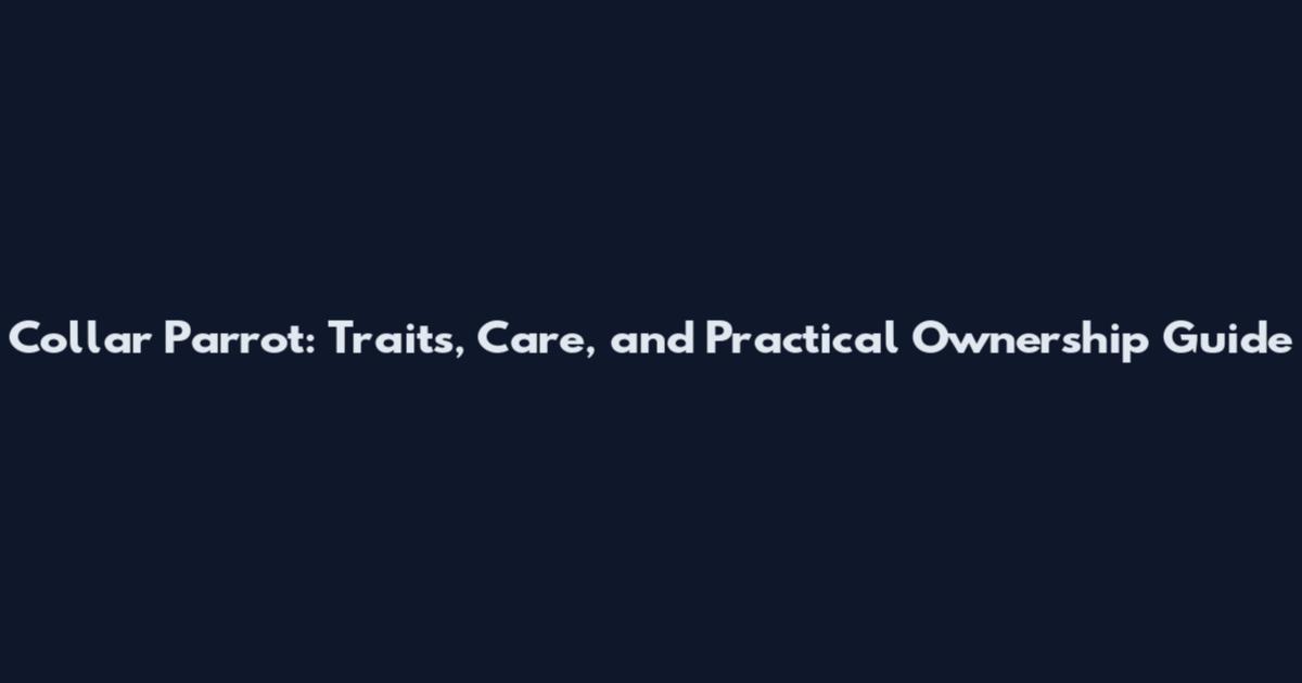 Collar Parrot: Traits, Care, and Practical Ownership Guide