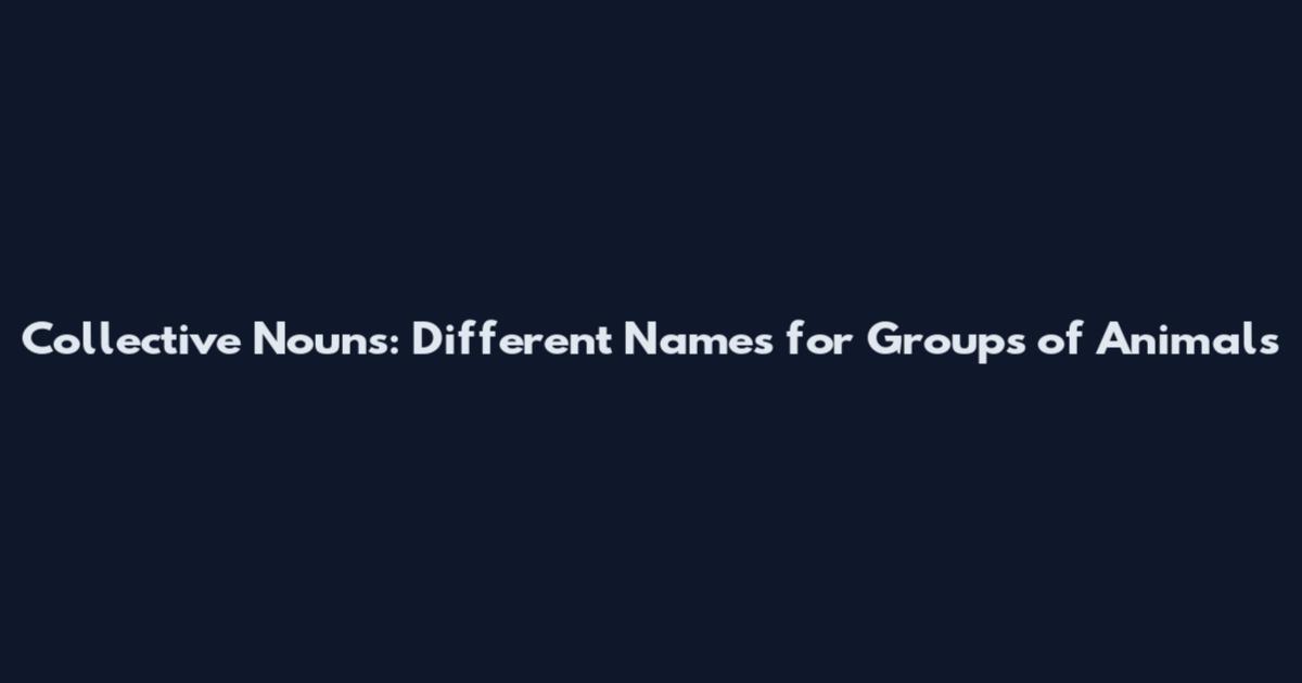 Collective Nouns: Different Names for Groups of Animals