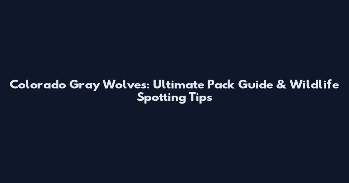 Colorado Gray Wolves: Ultimate Pack Guide & Wildlife Spotting Tips