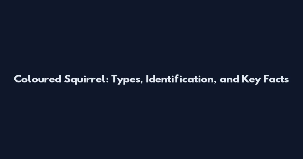 Coloured Squirrel: Types, Identification, and Key Facts