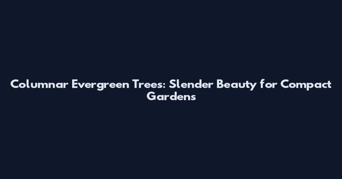 Columnar Evergreen Trees: Slender Beauty for Compact Gardens