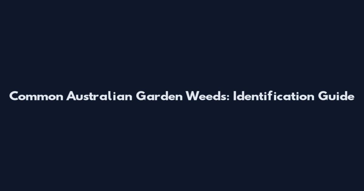 Common Australian Garden Weeds: Identification Guide