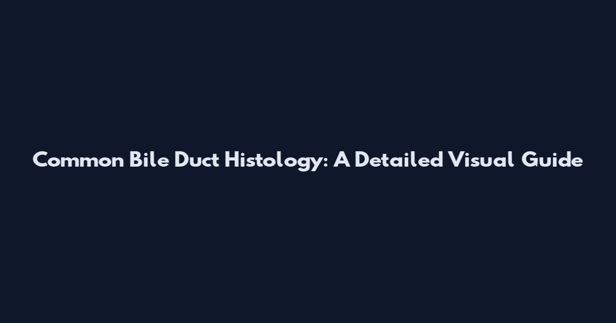 Common Bile Duct Histology: A Detailed Visual Guide