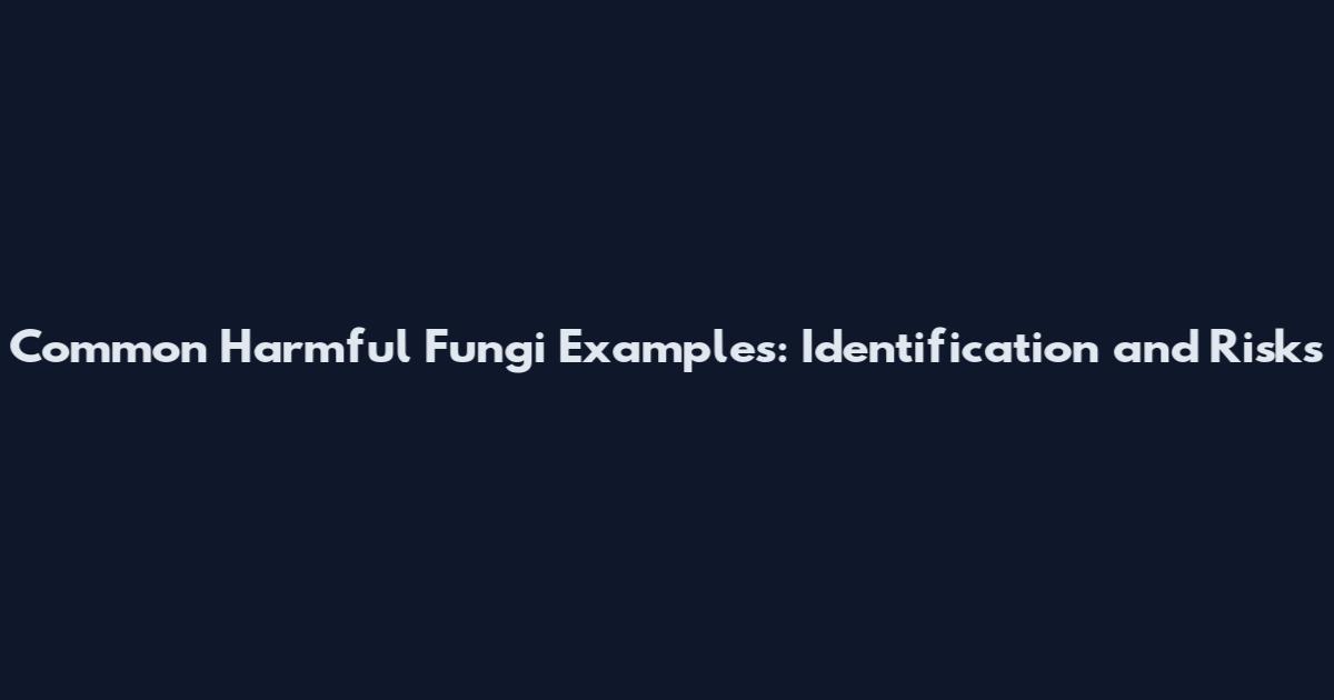 Common Harmful Fungi Examples: Identification and Risks