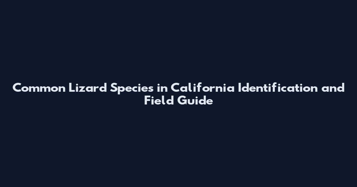 Common Lizard Species in California Identification and Field Guide