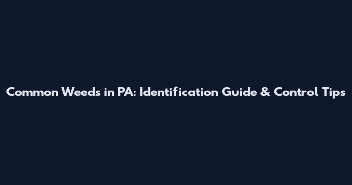 Common Weeds in PA: Identification Guide & Control Tips