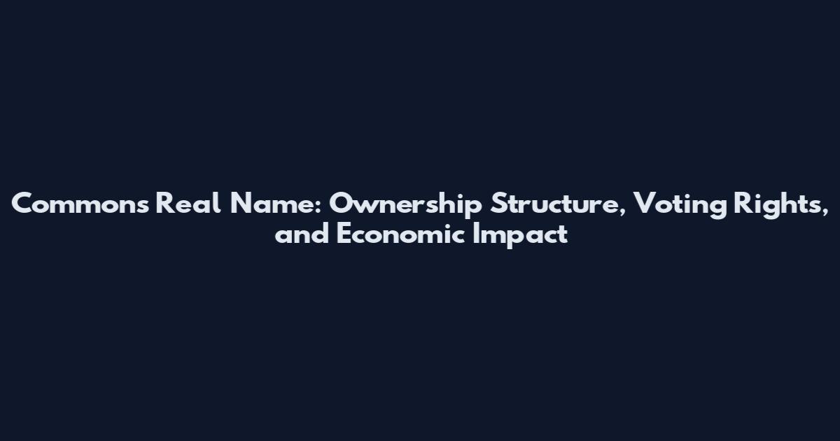 Commons Real Name: Ownership Structure, Voting Rights, and Economic Impact