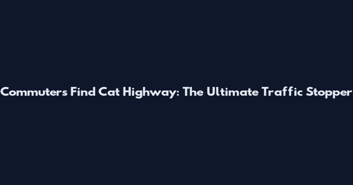 Commuters Find Cat Highway: The Ultimate Traffic Stopper