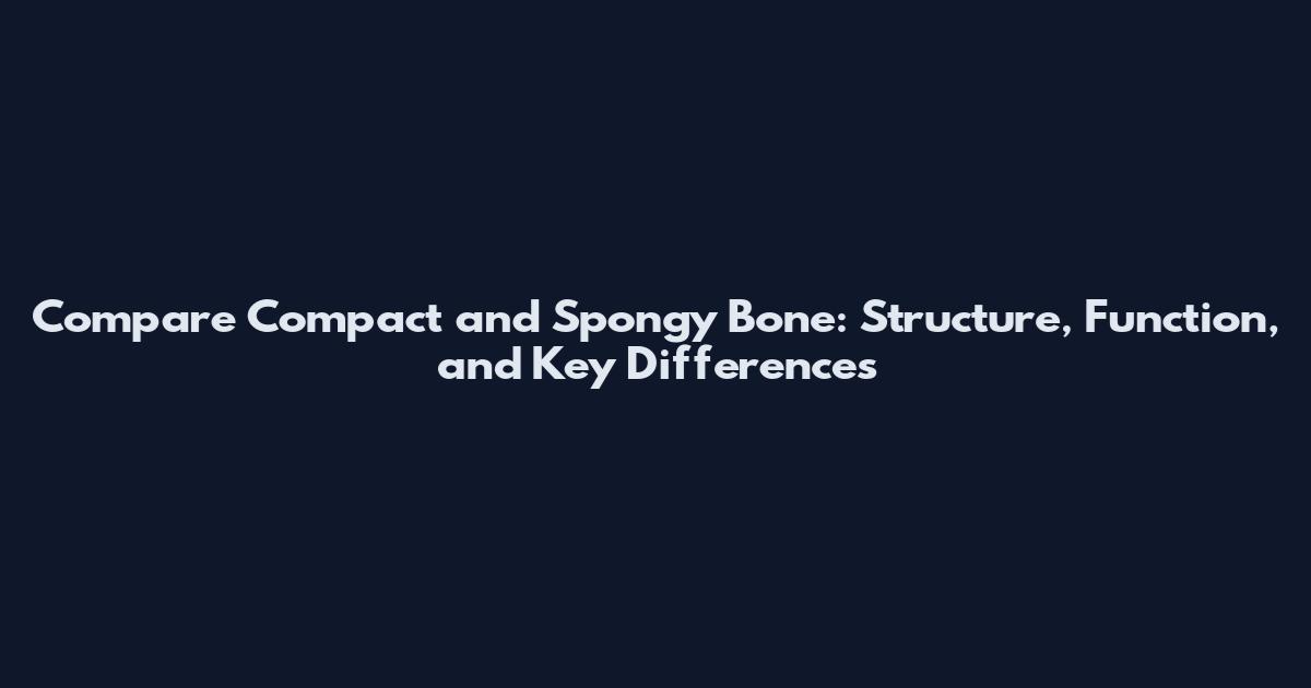 Compare Compact and Spongy Bone: Structure, Function, and Key Differences