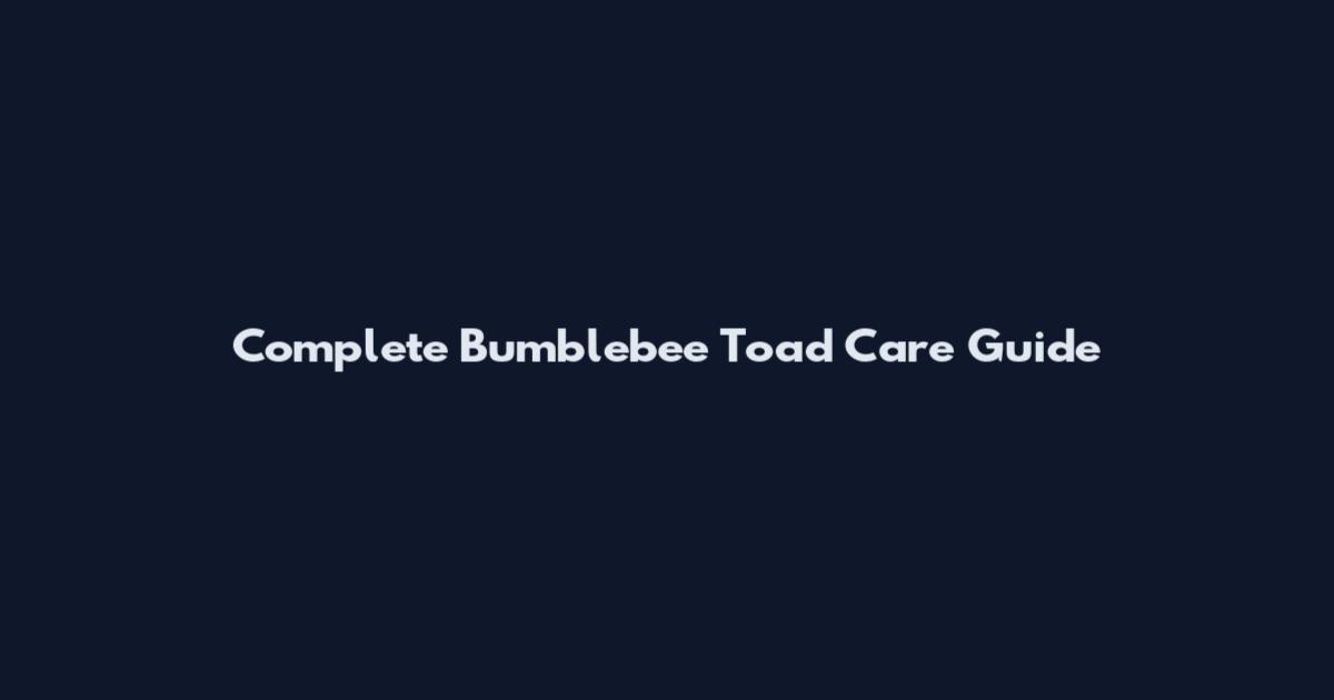 Complete Bumblebee Toad Care Guide