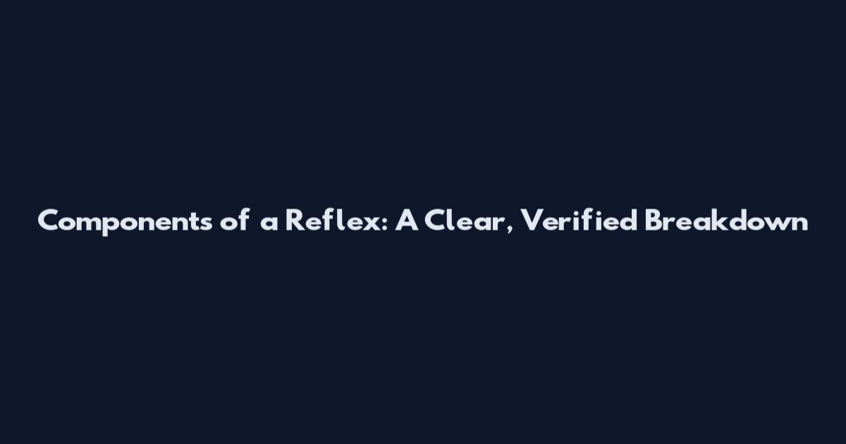 Components of a Reflex: A Clear, Verified Breakdown