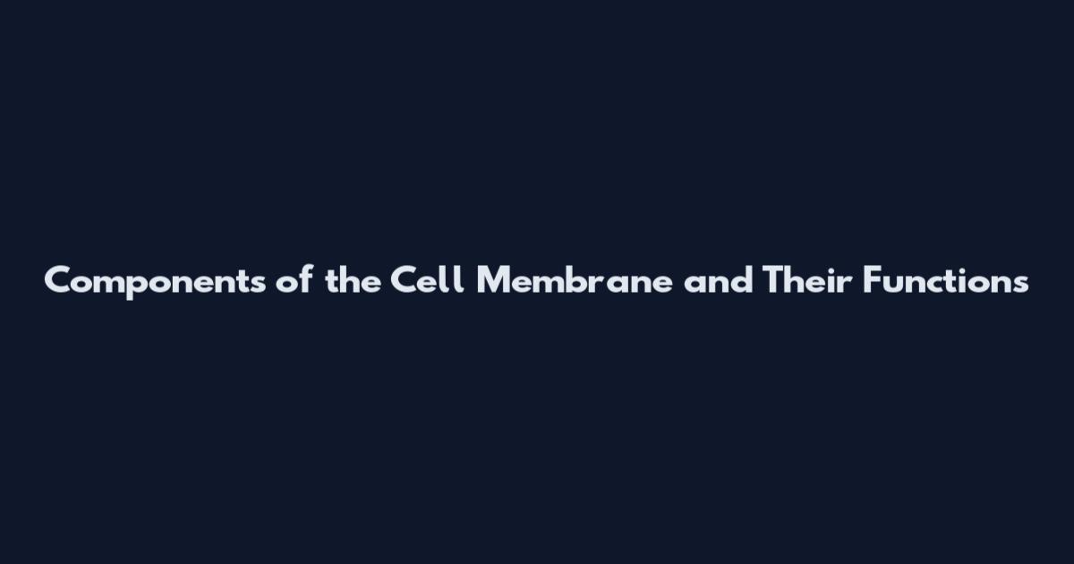 Components of the Cell Membrane and Their Functions