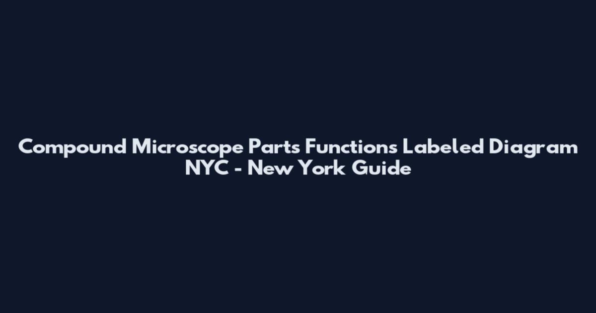 Compound Microscope Parts Functions Labeled Diagram NYC - New York Guide