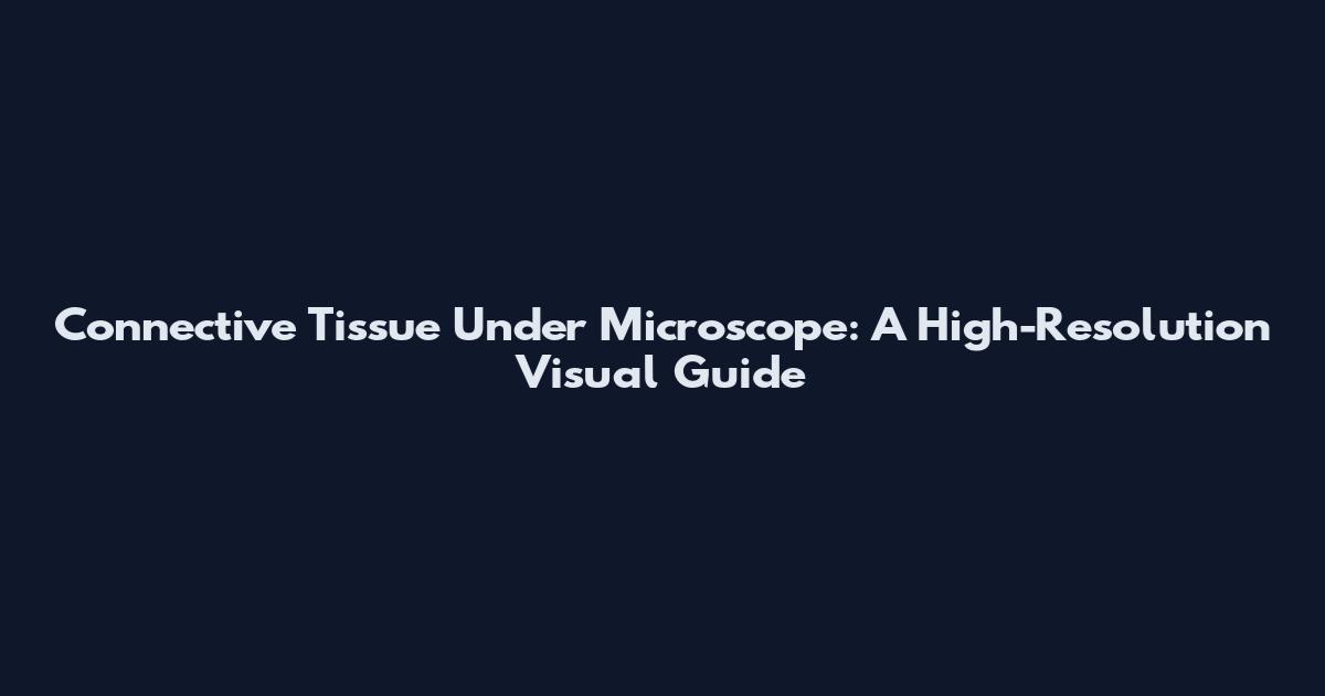 Connective Tissue Under Microscope: A High-Resolution Visual Guide