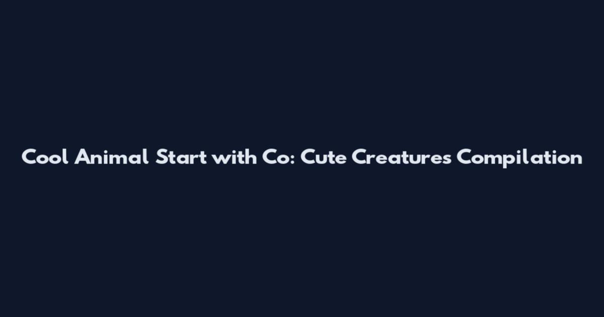 Cool Animal Start with Co: Cute Creatures Compilation
