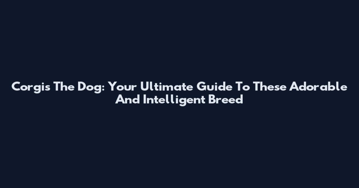 Corgis The Dog: Your Ultimate Guide To These Adorable And Intelligent Breed