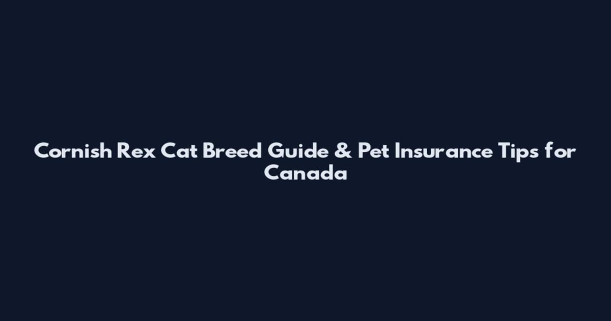Cornish Rex Cat Breed Guide & Pet Insurance Tips for Canada