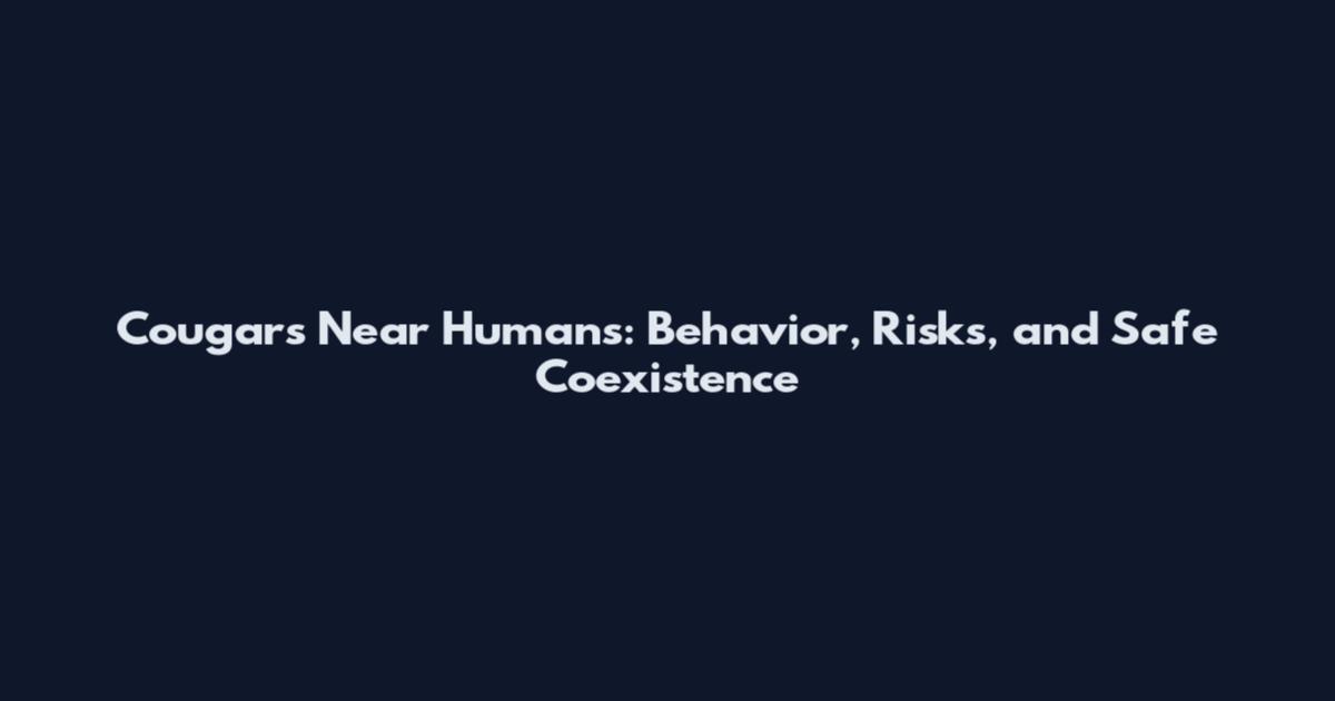 Cougars Near Humans: Behavior, Risks, and Safe Coexistence