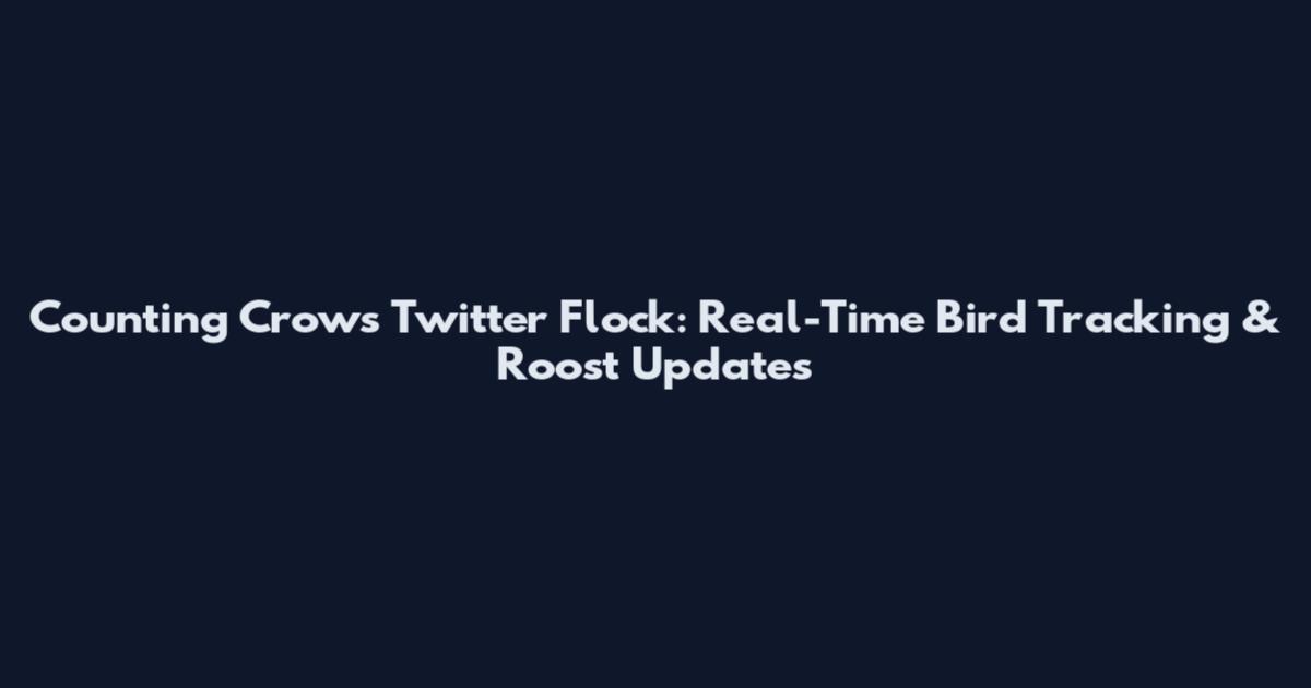 Counting Crows Twitter Flock: Real-Time Bird Tracking & Roost Updates