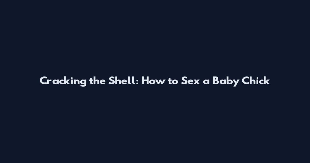 Cracking the Shell: How to Sex a Baby Chick