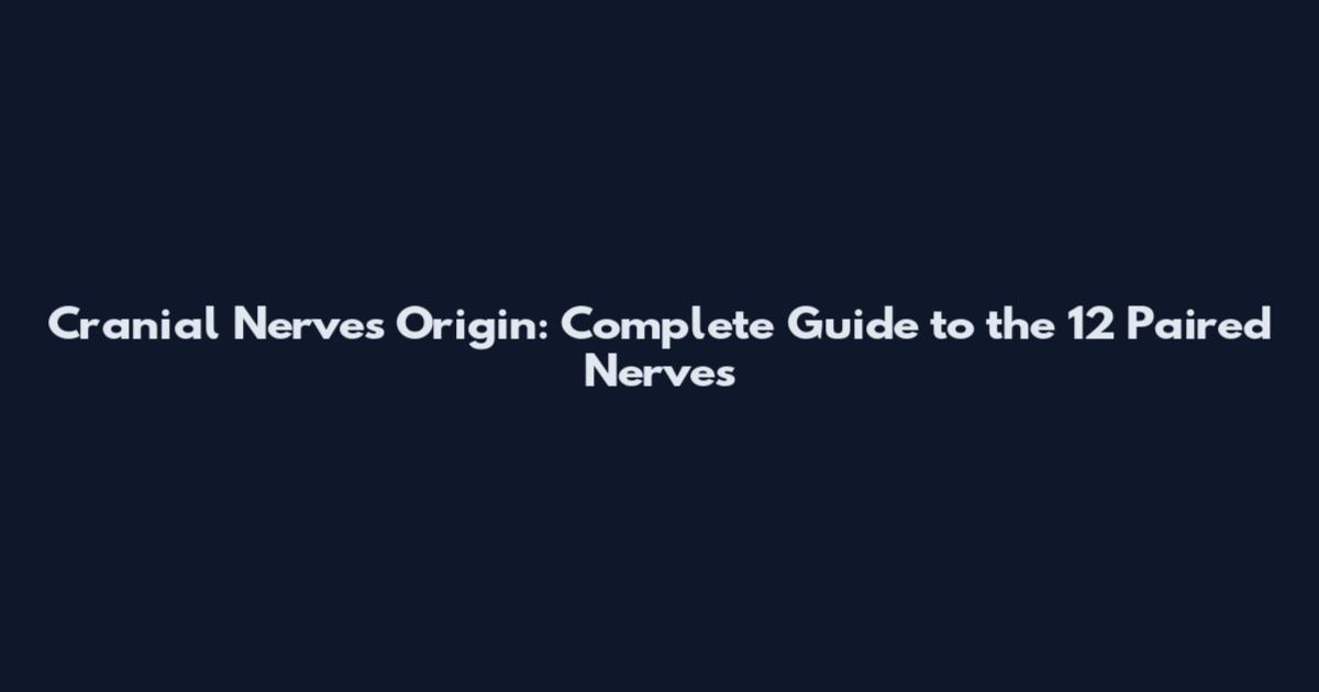 Cranial Nerves Origin: Complete Guide to the 12 Paired Nerves