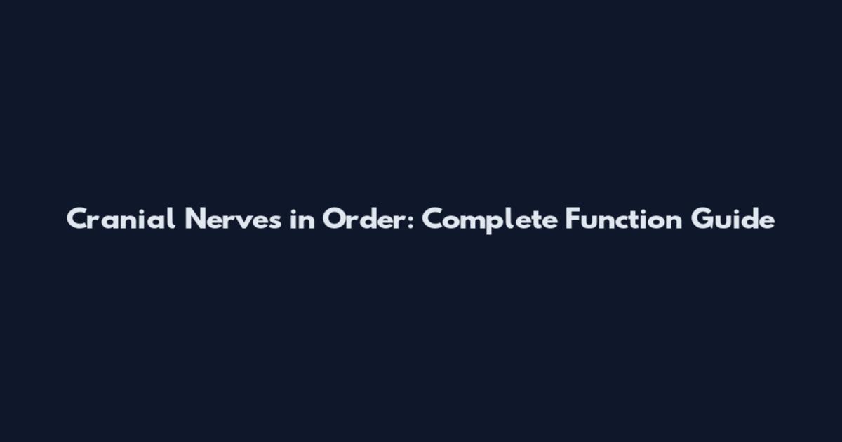 Cranial Nerves in Order: Complete Function Guide