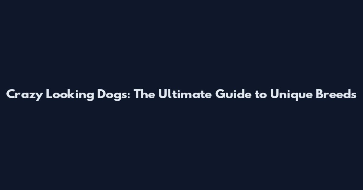 Crazy Looking Dogs: The Ultimate Guide to Unique Breeds