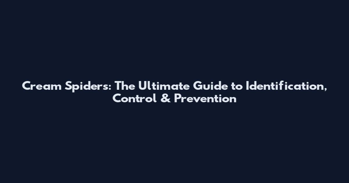 Cream Spiders: The Ultimate Guide to Identification, Control & Prevention