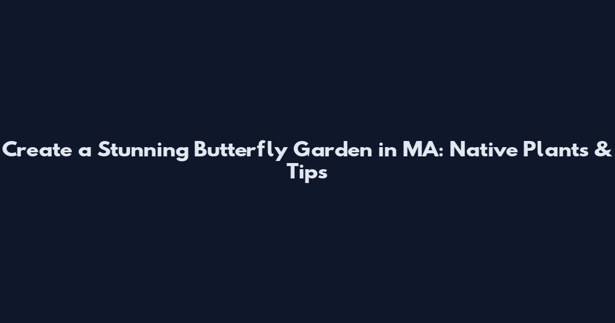 Create a Stunning Butterfly Garden in MA: Native Plants & Tips