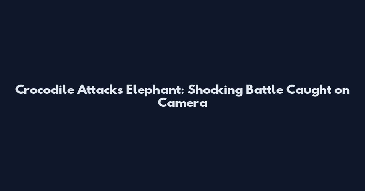 Crocodile Attacks Elephant: Shocking Battle Caught on Camera
