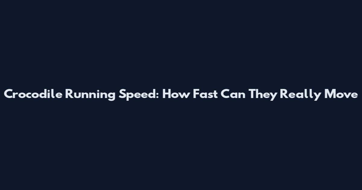 Crocodile Running Speed: How Fast Can They Really Move