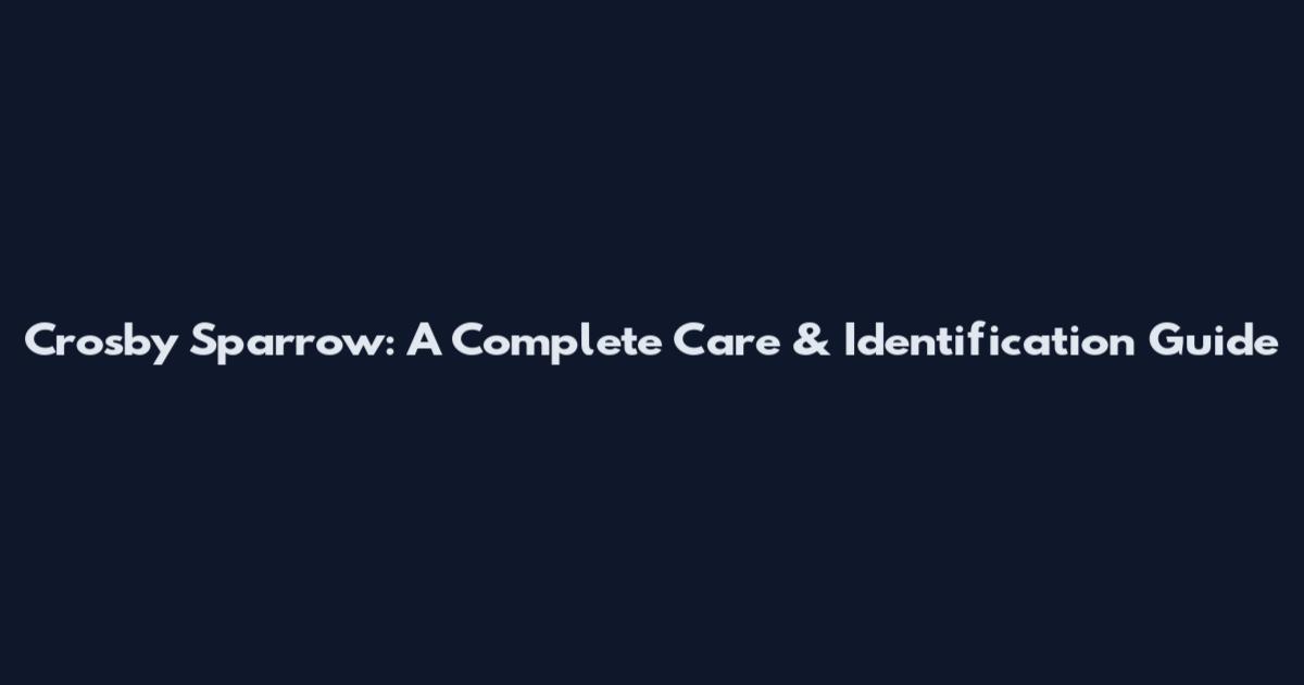 Crosby Sparrow: A Complete Care & Identification Guide