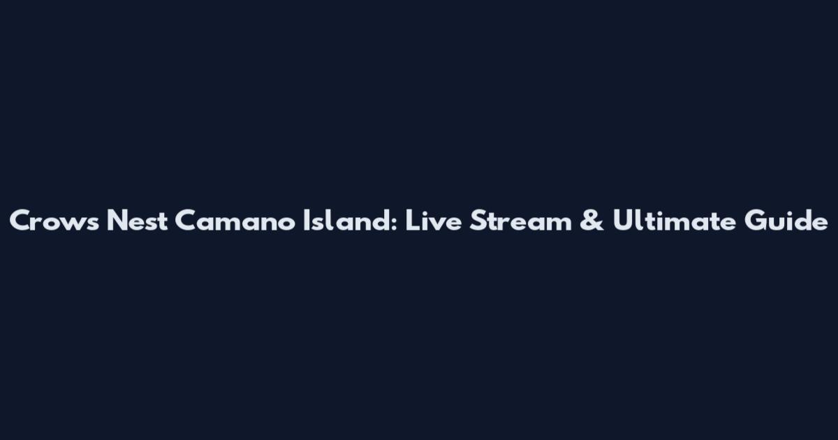 Crows Nest Camano Island: Live Stream & Ultimate Guide