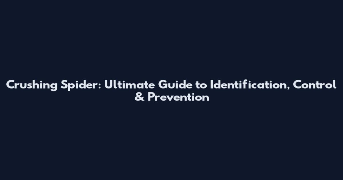 Crushing Spider: Ultimate Guide to Identification, Control & Prevention