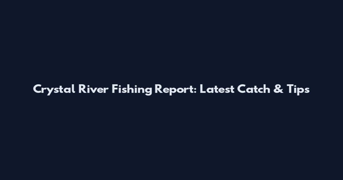 Crystal River Fishing Report: Latest Catch & Tips