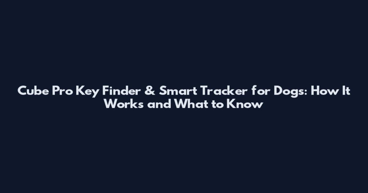 Cube Pro Key Finder & Smart Tracker for Dogs: How It Works and What to Know