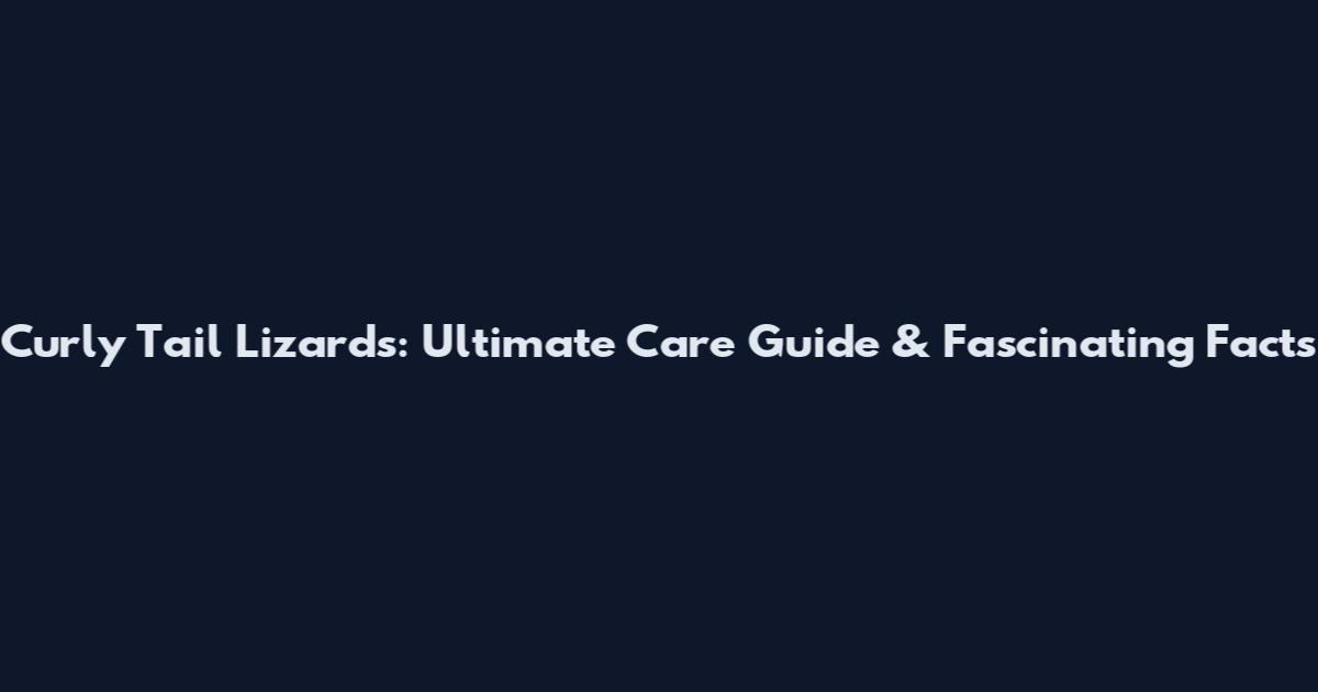 Curly Tail Lizards: Ultimate Care Guide & Fascinating Facts