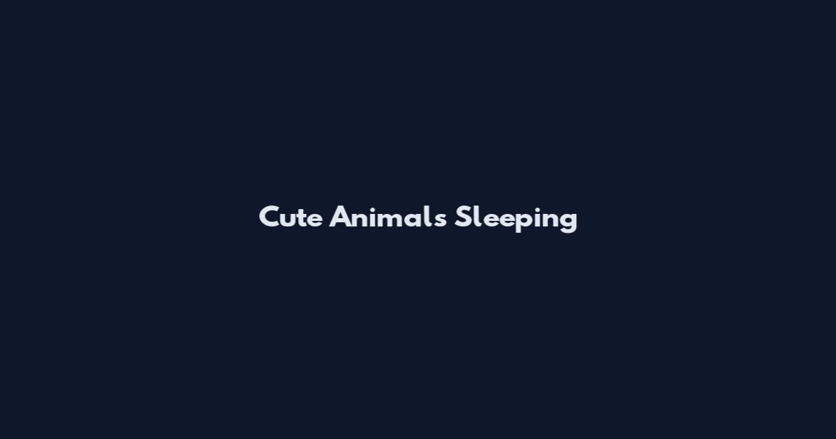 Cute Animals Sleeping