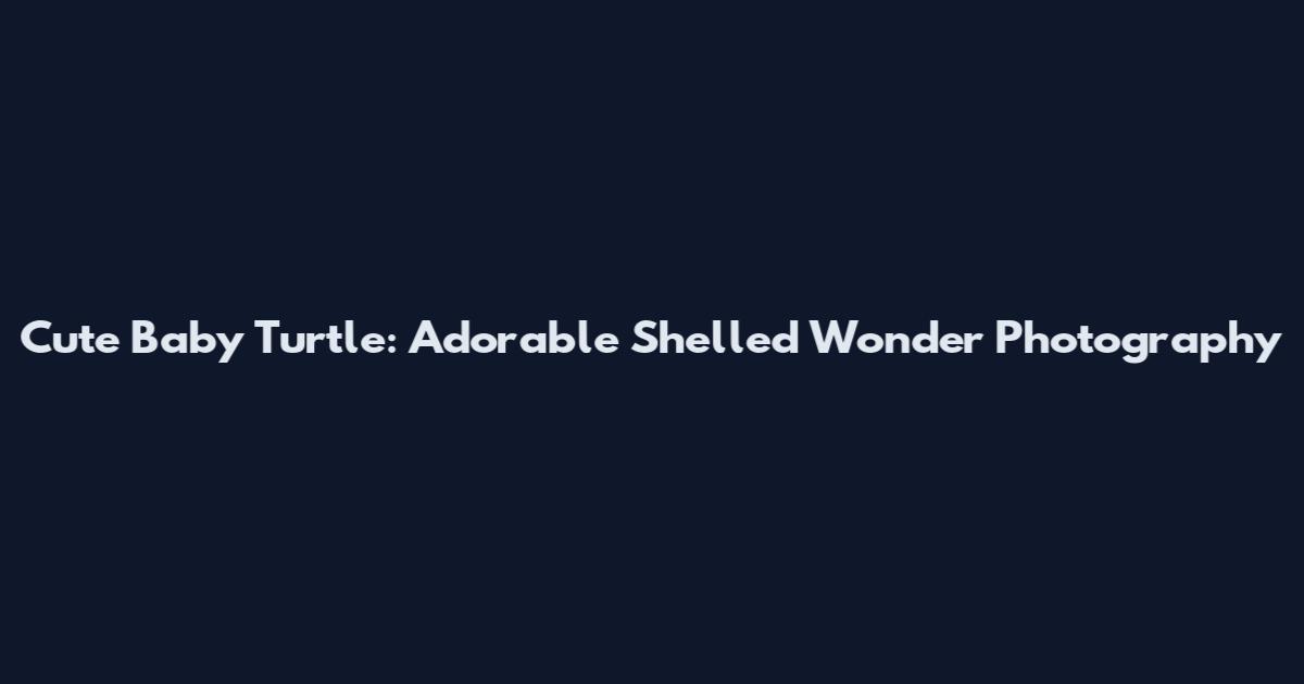 Cute Baby Turtle: Adorable Shelled Wonder Photography