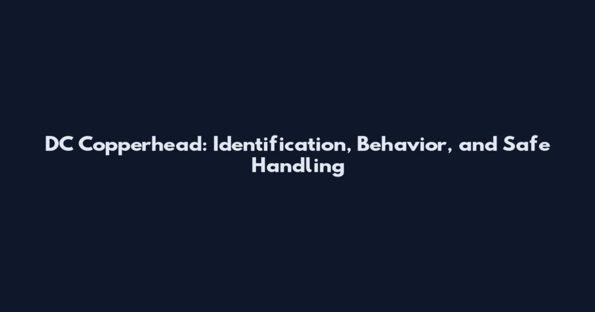 DC Copperhead: Identification, Behavior, and Safe Handling